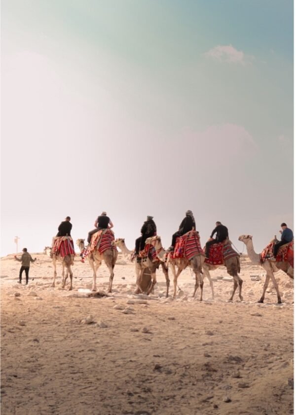 Desert Walk - Mostafa Abdulwahab