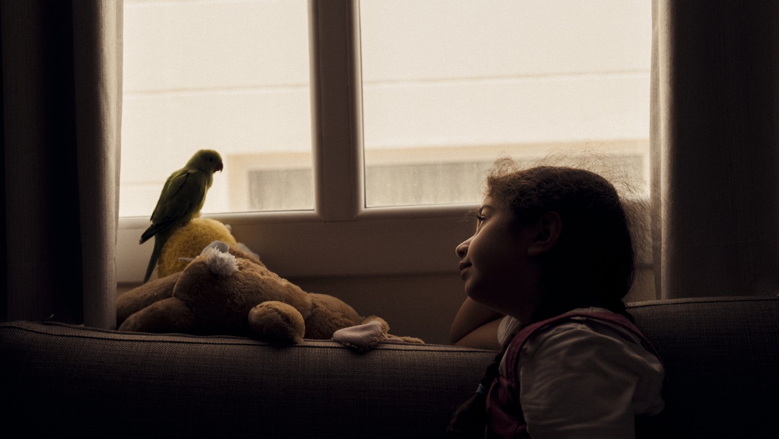 Photograph from the Frame and Focus exhibition